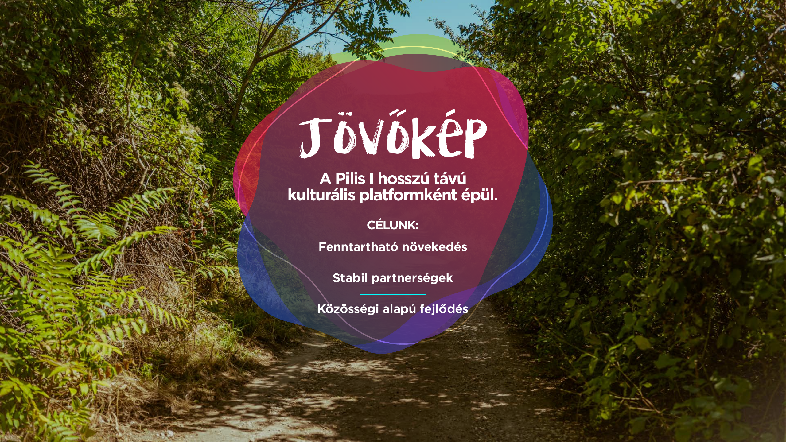 Jövőkép — hosszú távú kulturális platform